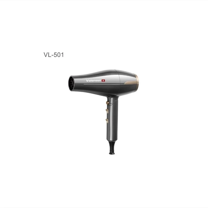 سشوار ولروس مدل VL-501