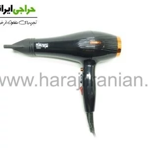 سشوار دی اس پی DSP-9520